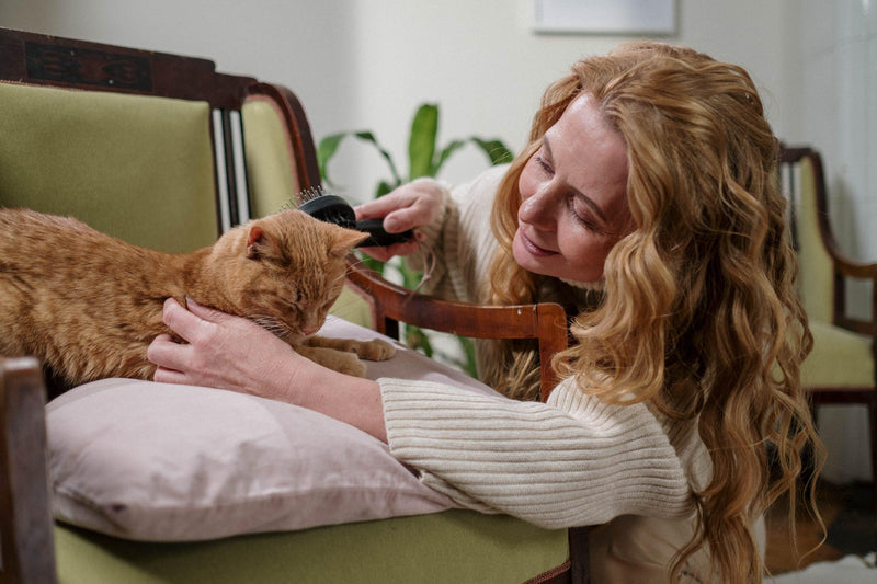 Make Pet Care Easier Every Day